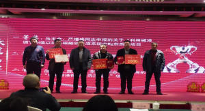 图片12